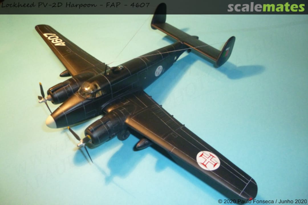 View album, image #146 View album, image #146