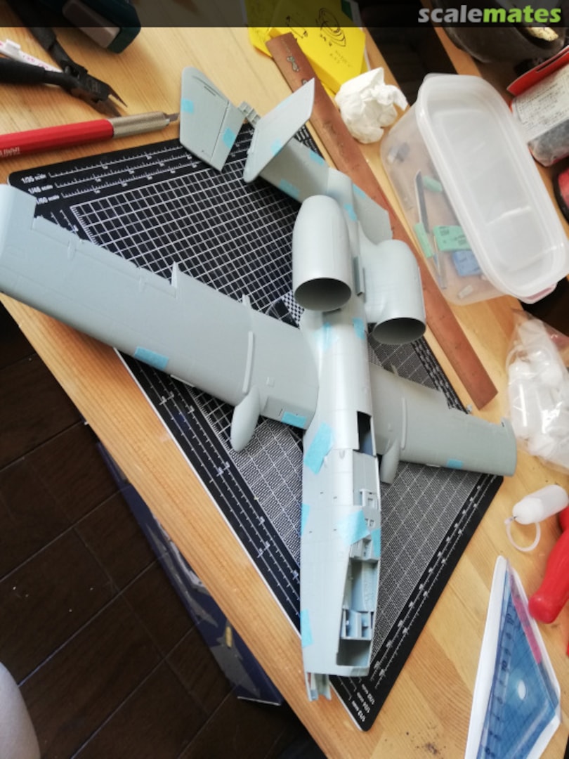 View album, image #1 View album, image #1