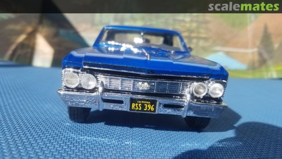 View album, image #1 View album, image #1