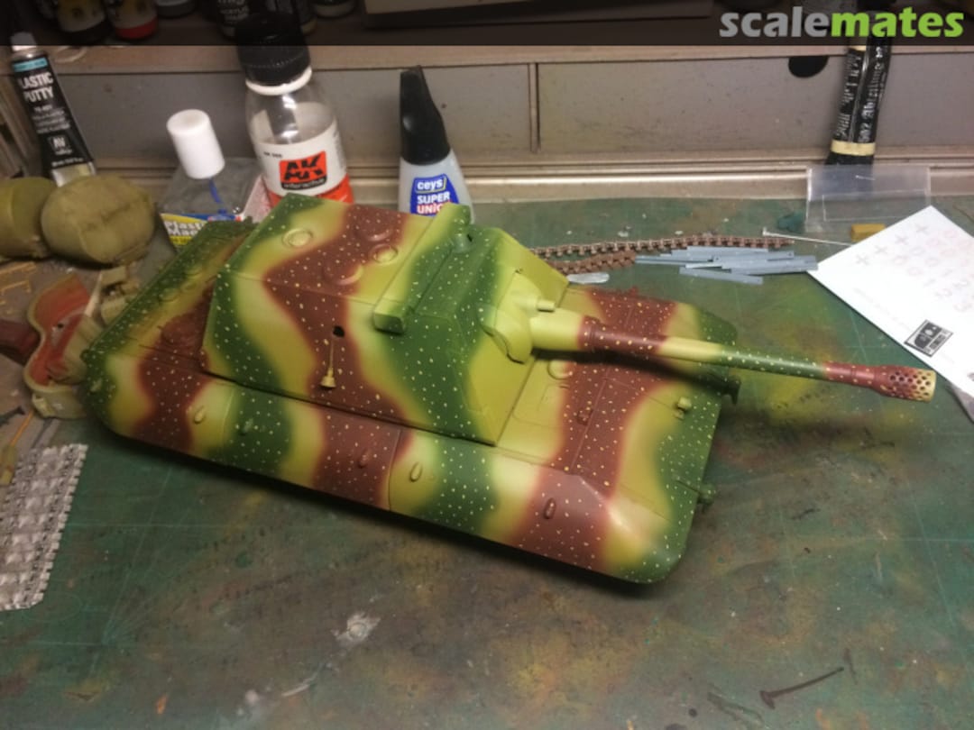 View album, image #48 View album, image #48