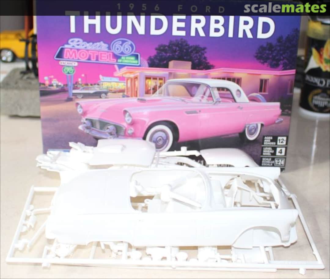 View album, image #1 View album, image #1