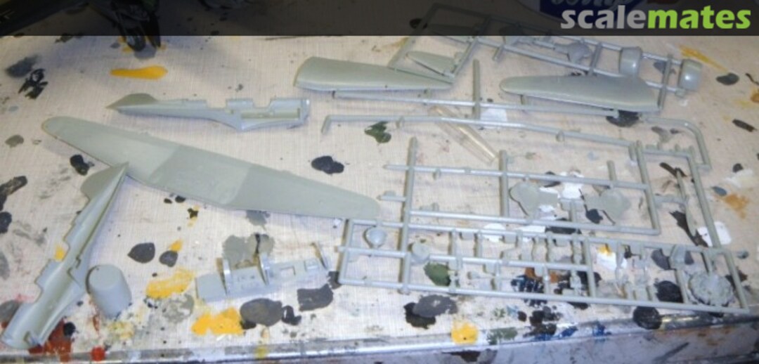 View album, image #1 View album, image #1