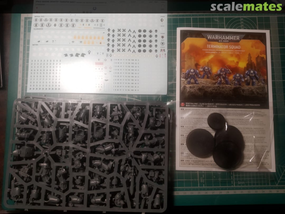 View album, image #1 View album, image #1