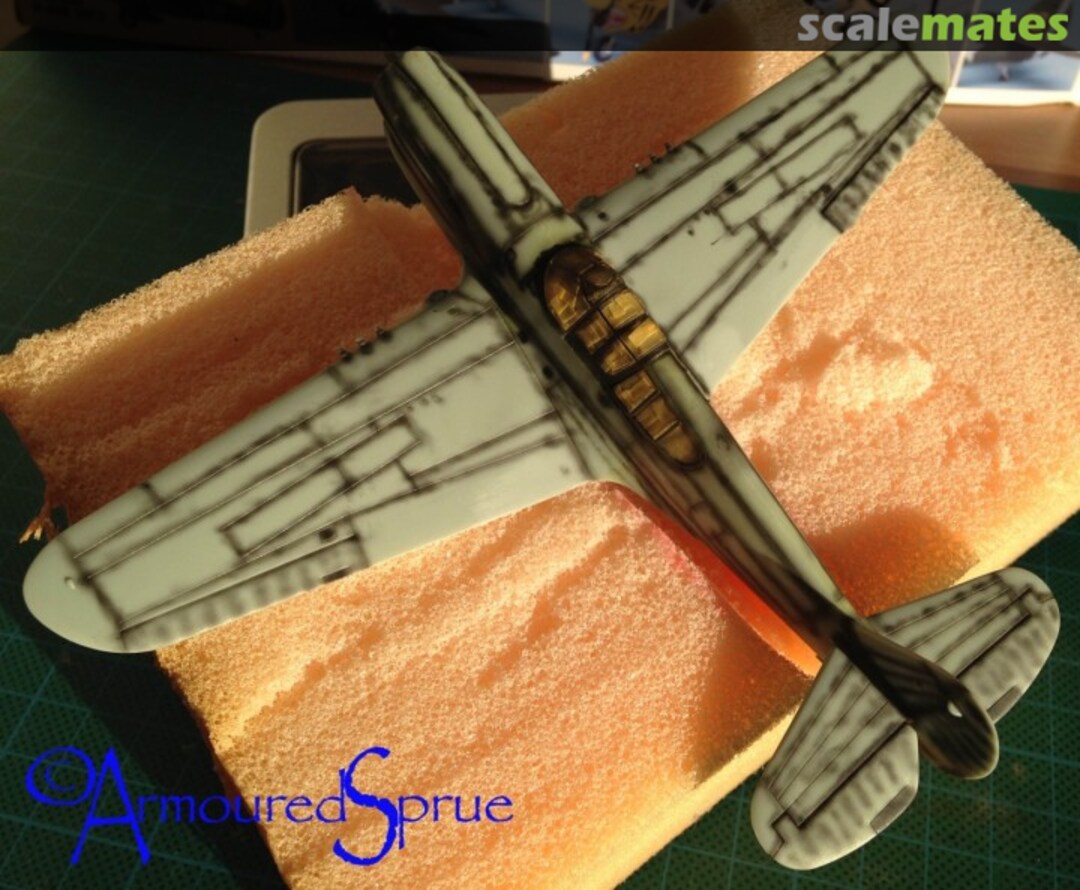 View album, image #1