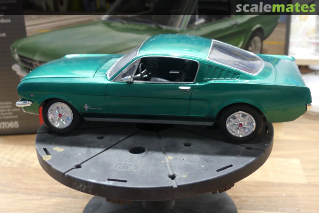 View album, image #14 View album, image #14