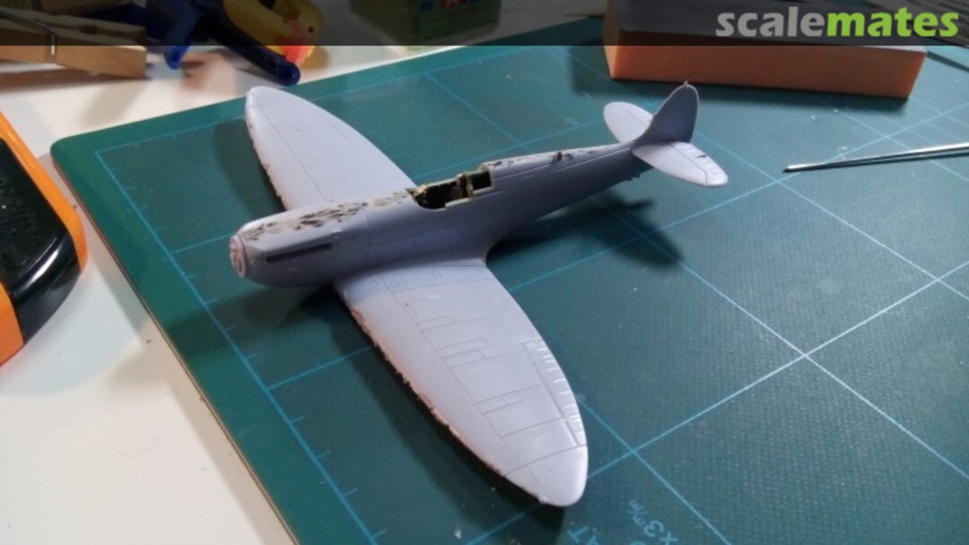 View album, image #1 View album, image #1