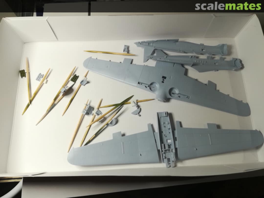 View album, image #1 View album, image #1