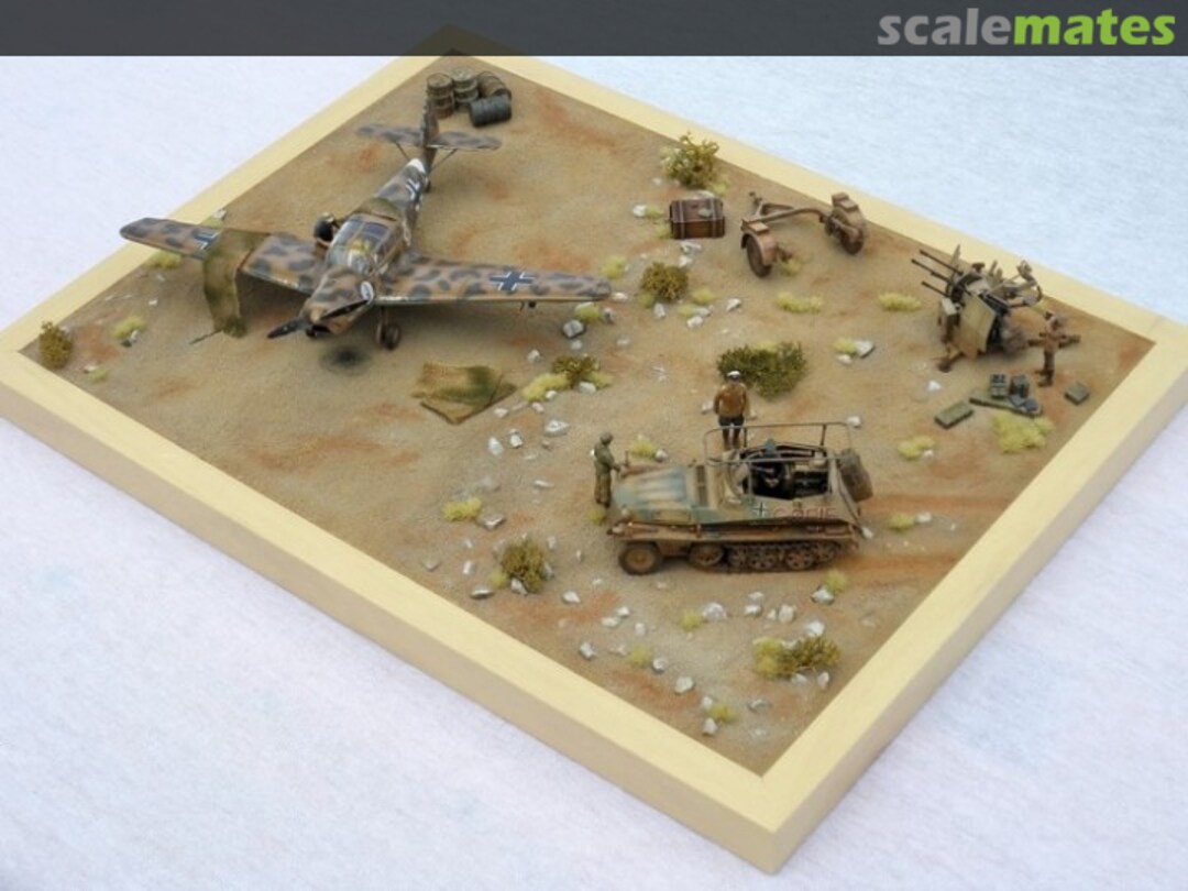 View album, image #1 View album, image #1