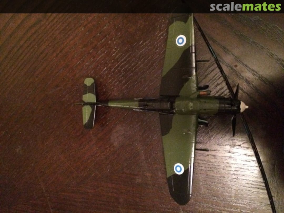 View album, image #1 View album, image #1