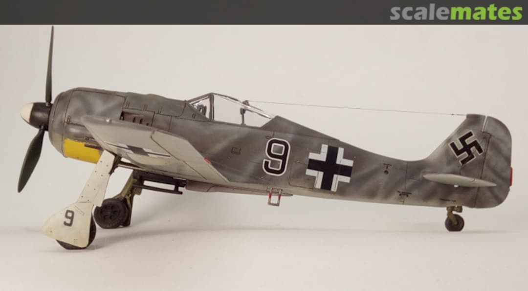 View album, image #13 View album, image #13