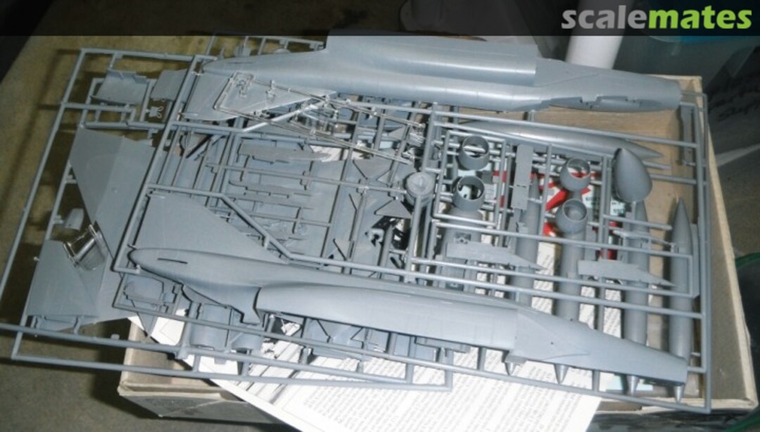 View album, image #1 View album, image #1