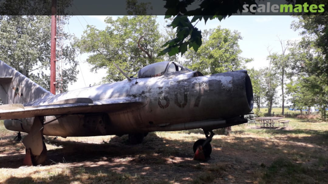 View album, image #1