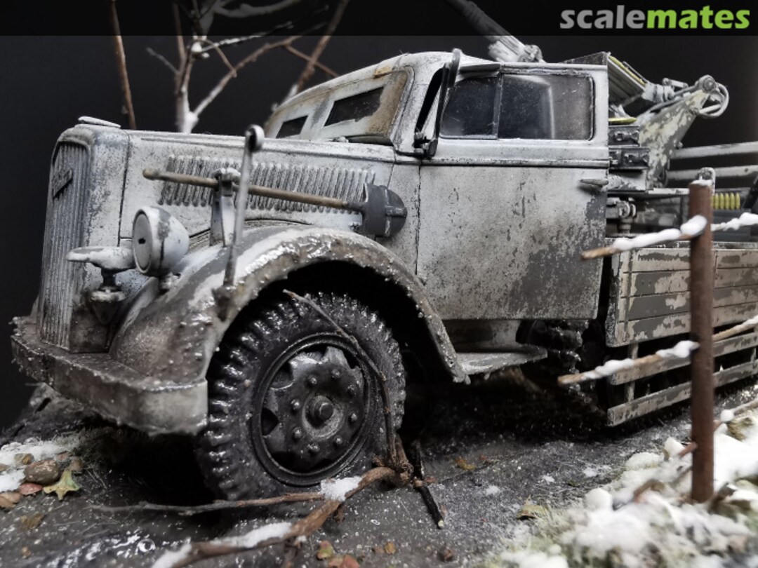 View album, image #1 View album, image #1