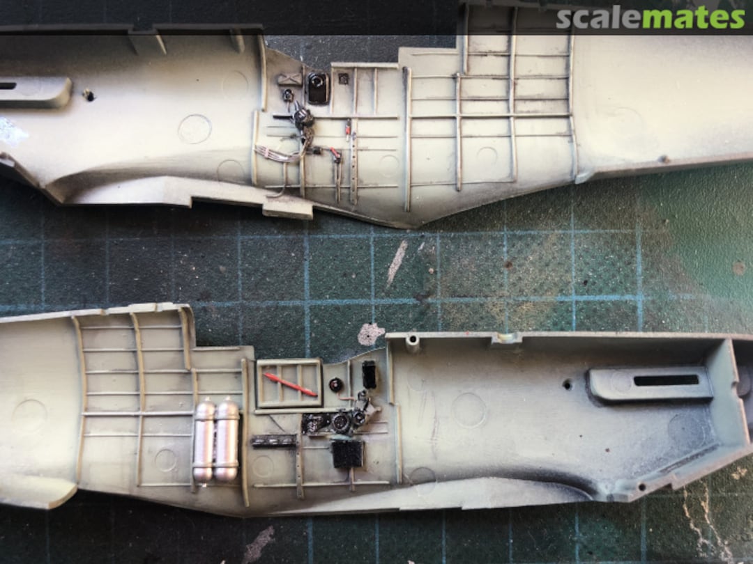 View album, image #4 View album, image #4