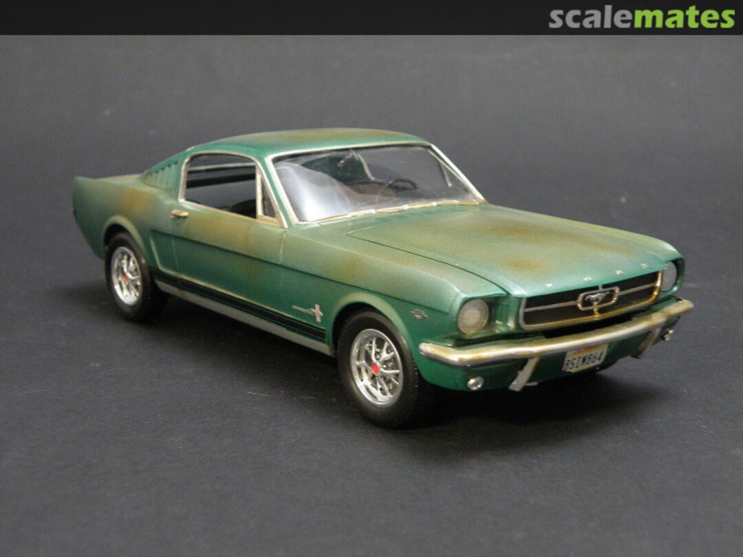 View album, image #1