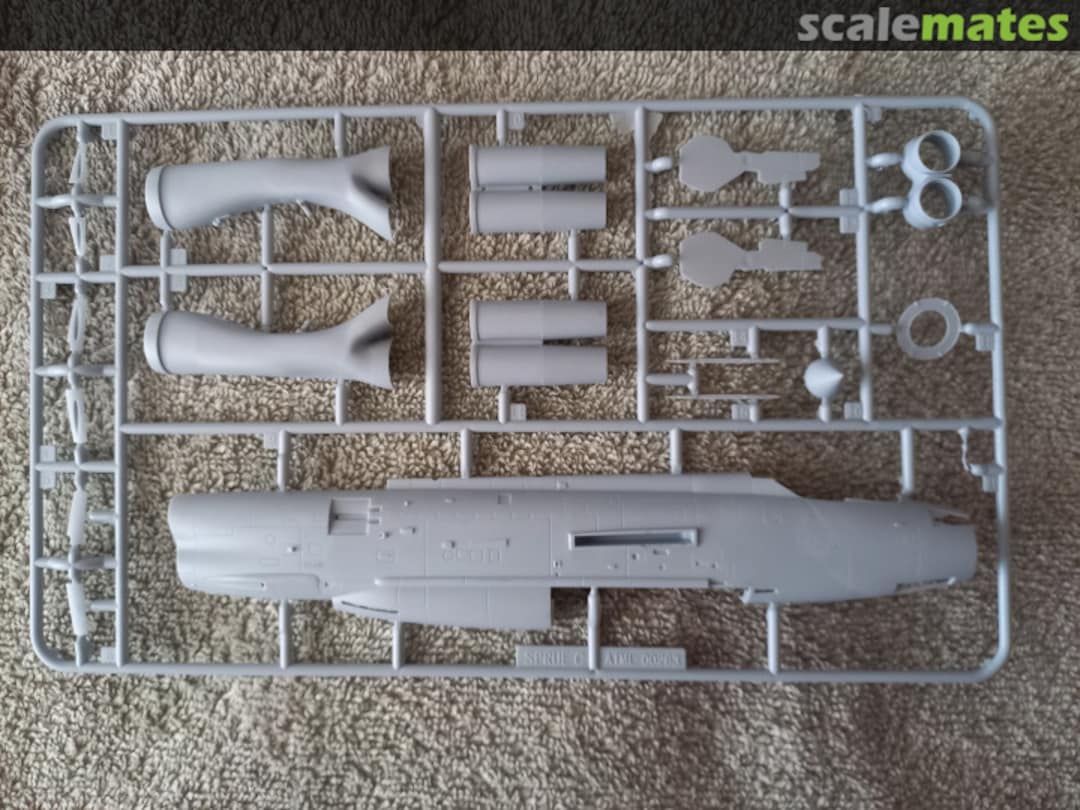 View album, image #1