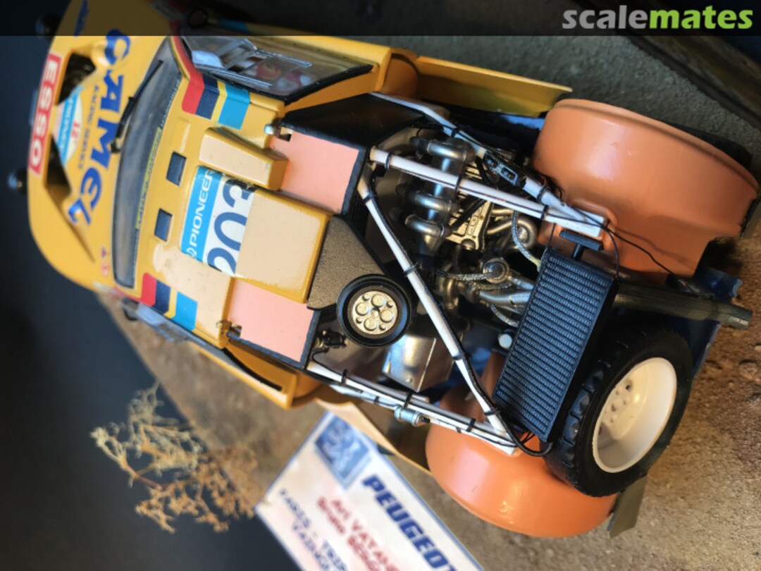 View album, image #1 View album, image #1