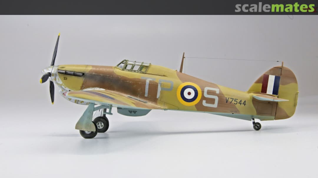 View album, image #1