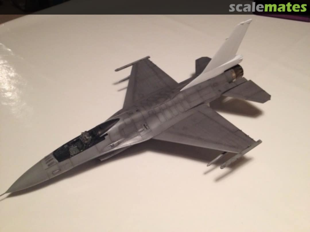 View album, image #5 View album, image #5