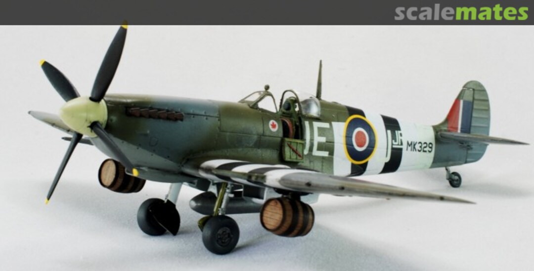 View album, image #3 View album, image #3