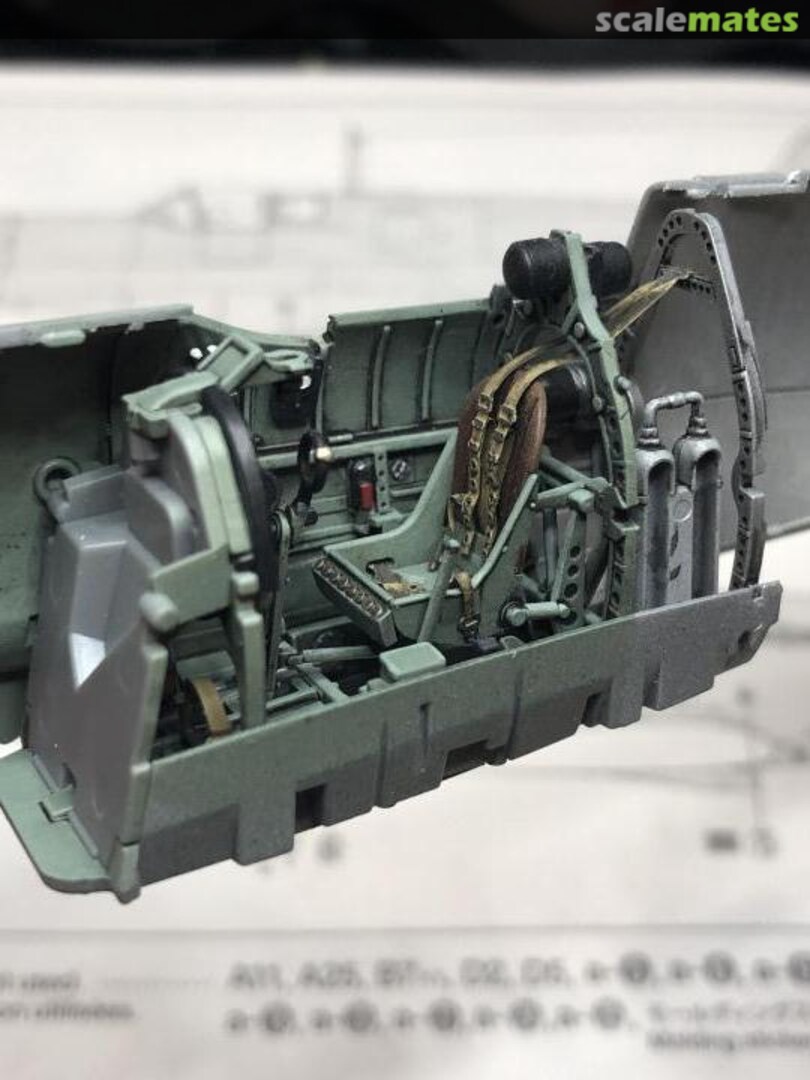 View album, image #1 View album, image #1