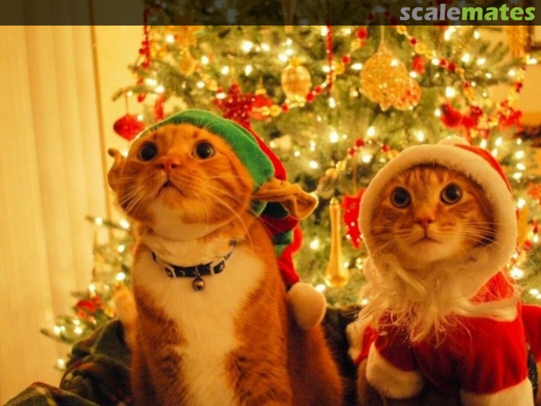 View album, image #1