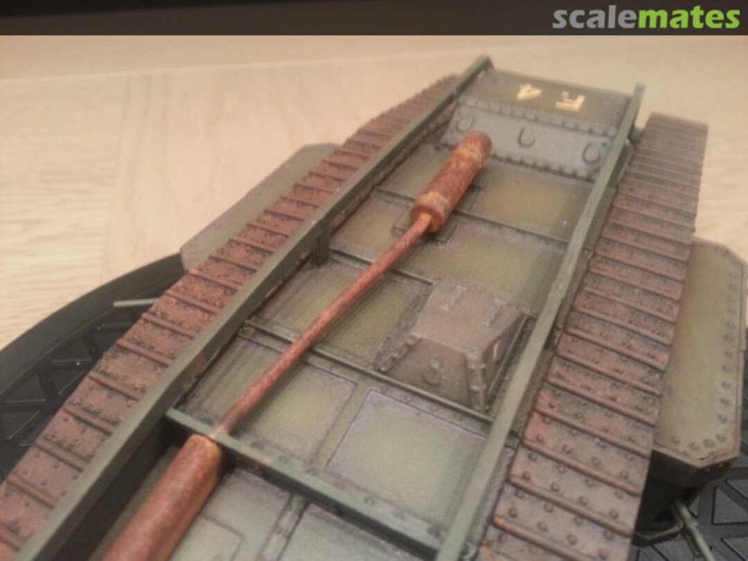 View album, image #1