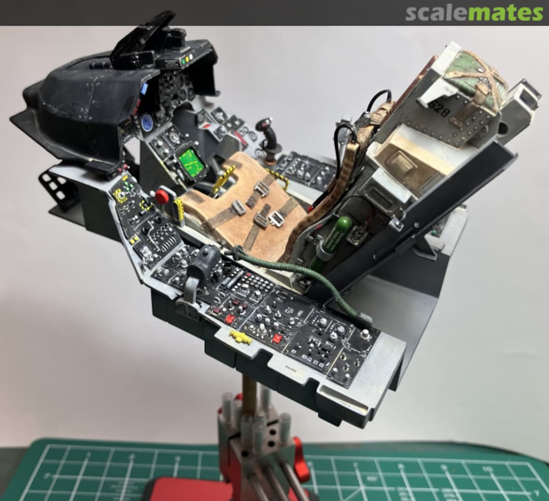 View album, image #25 View album, image #25