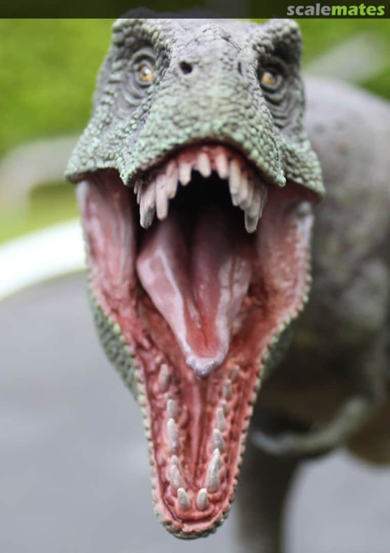 View album, image #84