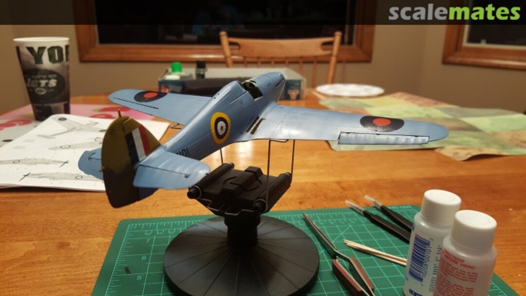 View album, image #1 View album, image #1