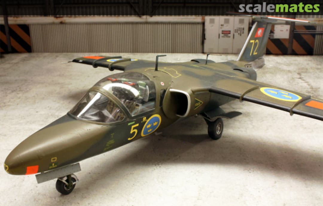 View album, image #8 View album, image #8