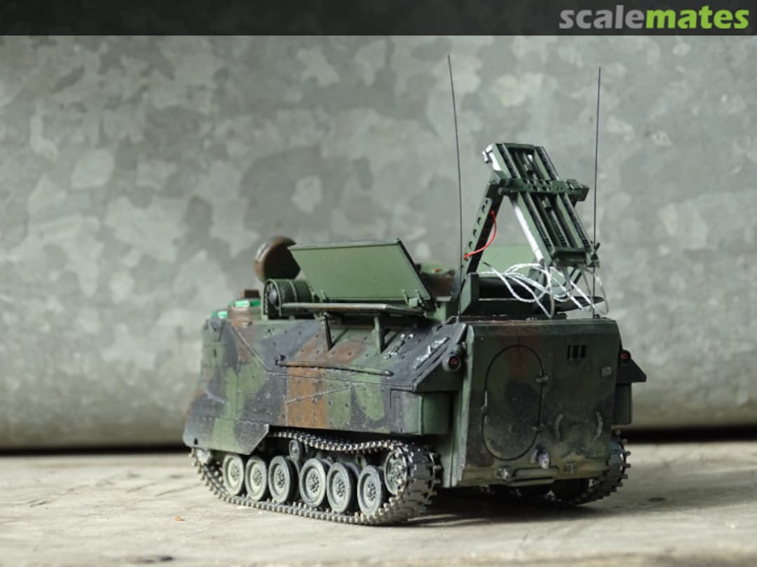 View album, image #1 View album, image #1