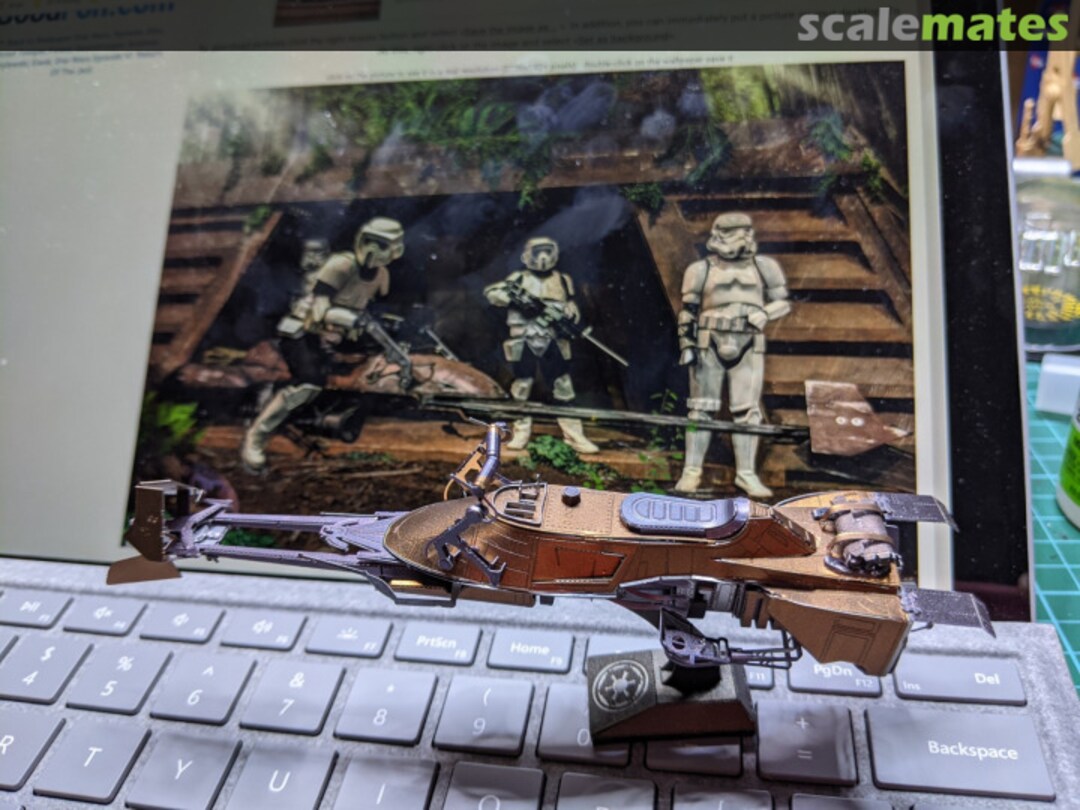 View album, image #60 View album, image #60