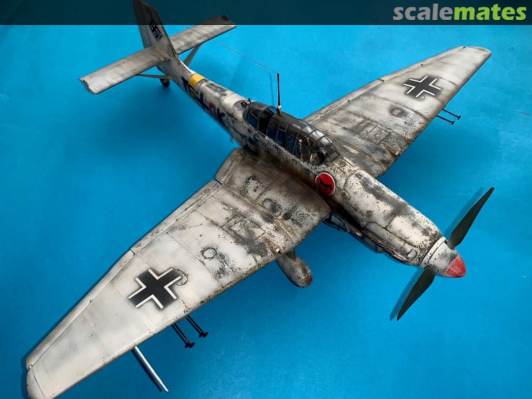 View album, image #7 View album, image #7