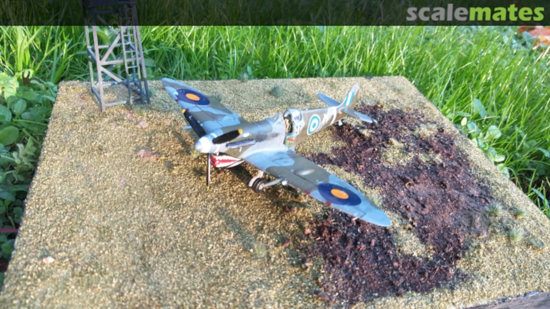 View album, image #1 View album, image #1