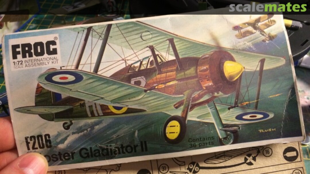 View album, image #1 View album, image #1