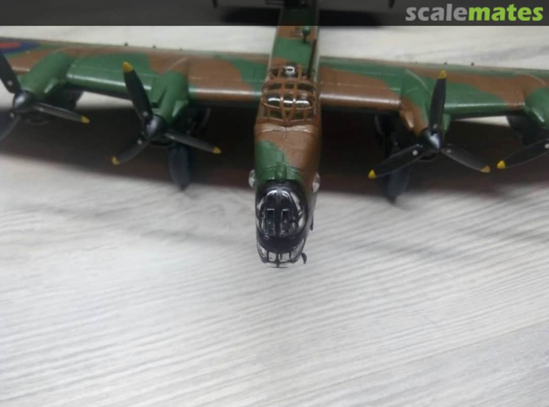 View album, image #1 View album, image #1