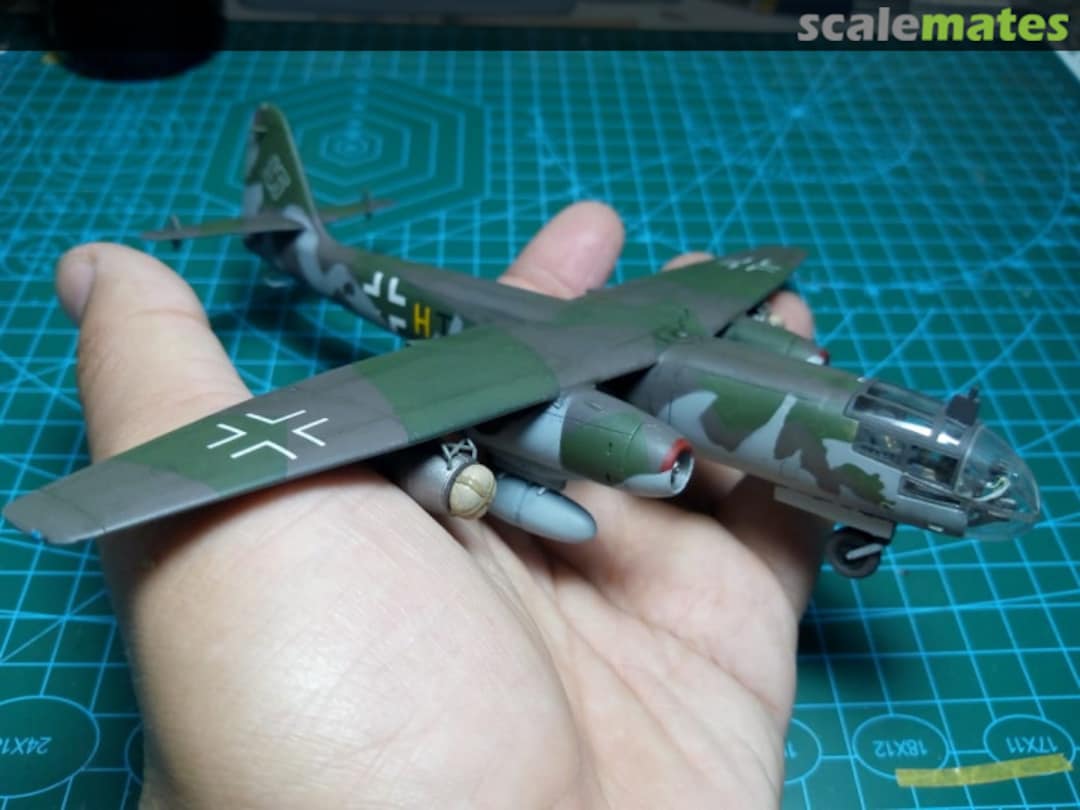 View album, image #13 View album, image #13