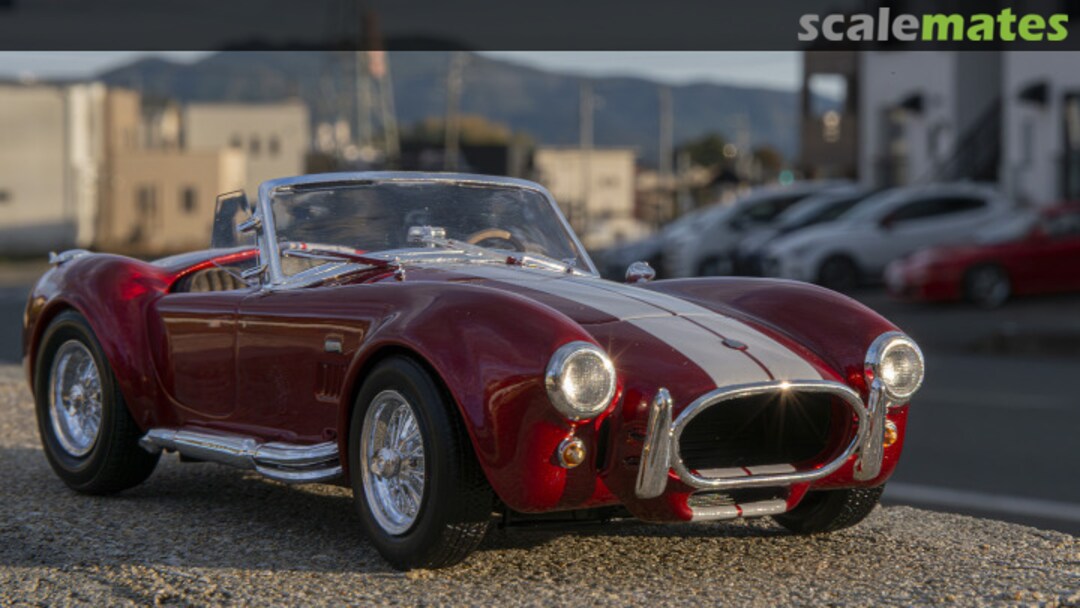 View album, image #1 View album, image #1