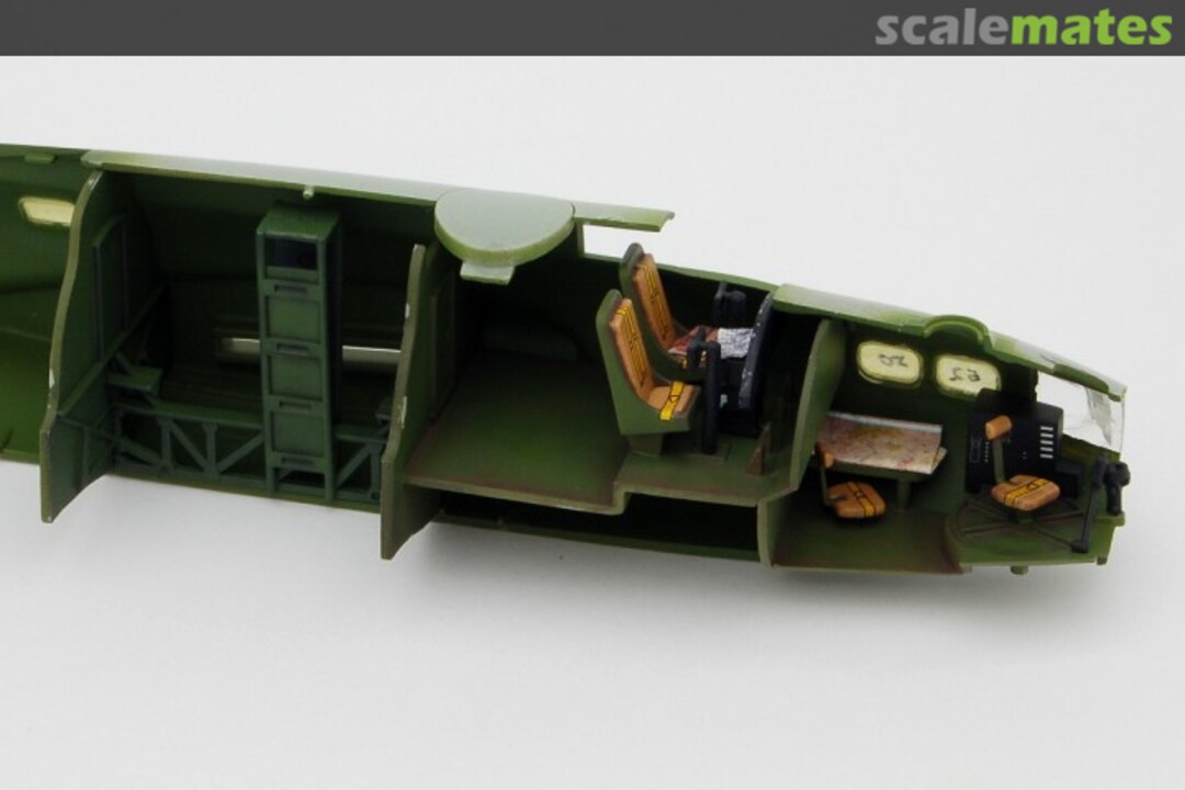 View album, image #1 View album, image #1