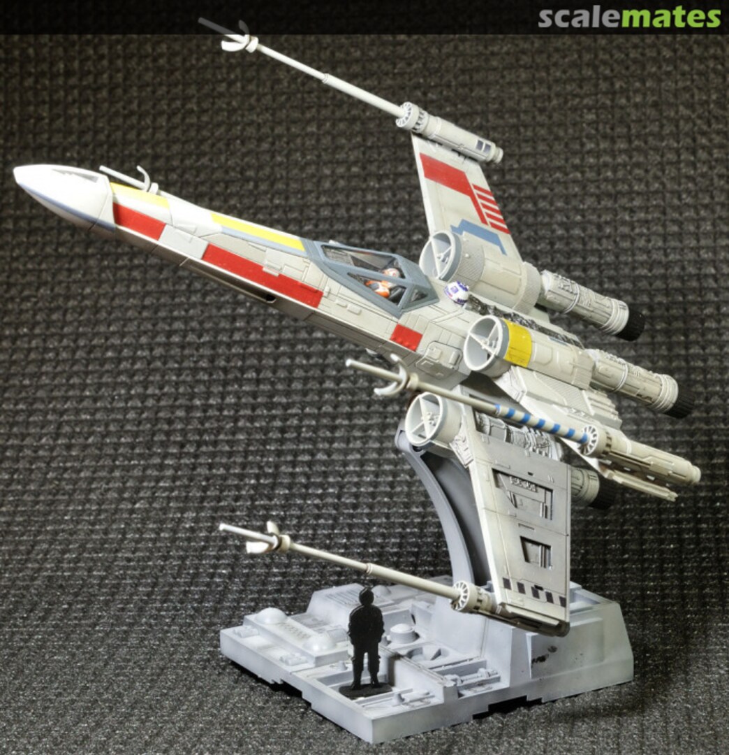 View album, image #1 View album, image #1