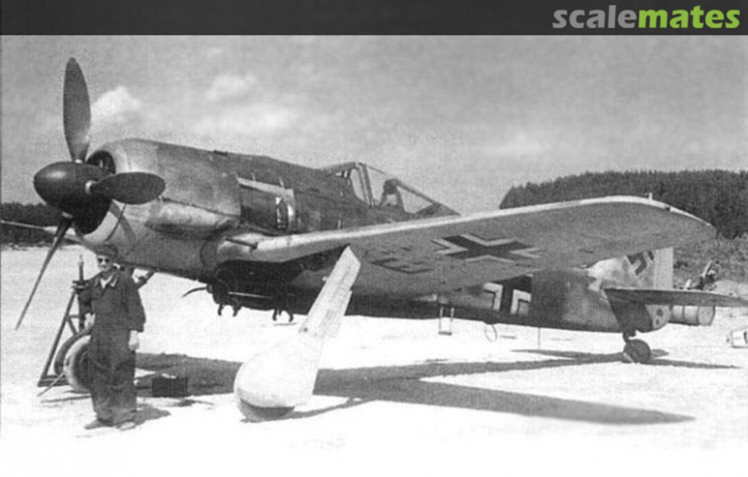 View album, image #1