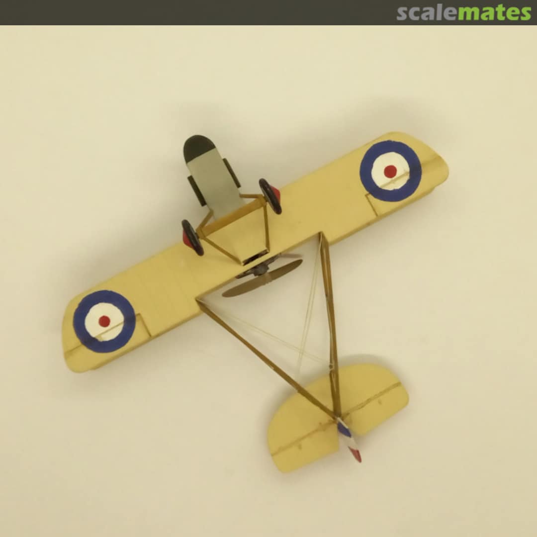 View album, image #1 View album, image #1