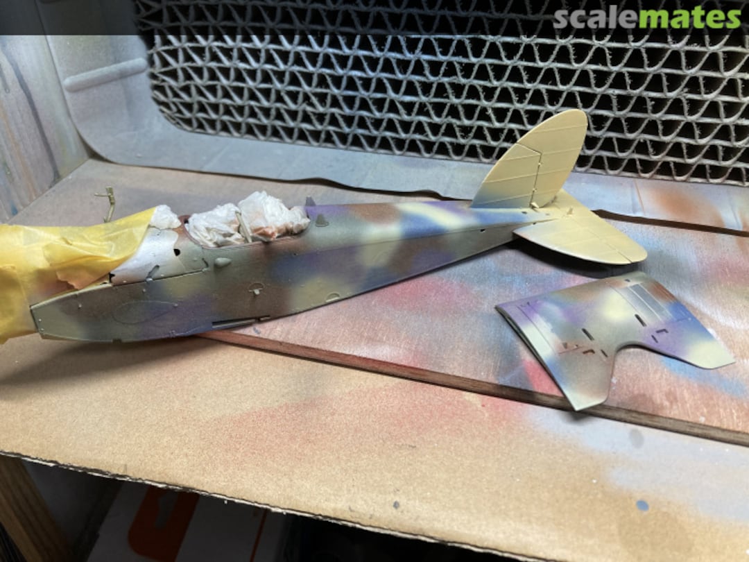 View album, image #41 View album, image #41