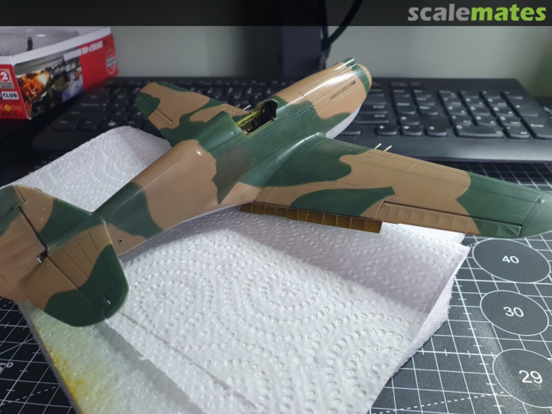 View album, image #1 View album, image #1