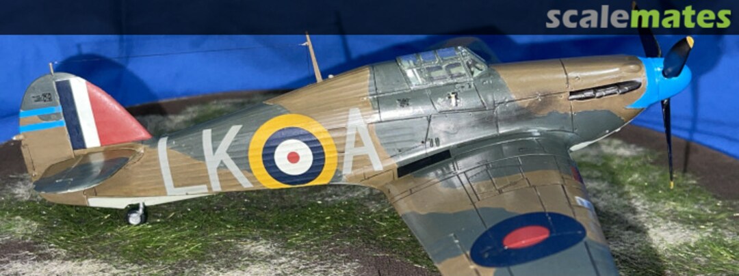 View album, image #14 View album, image #14