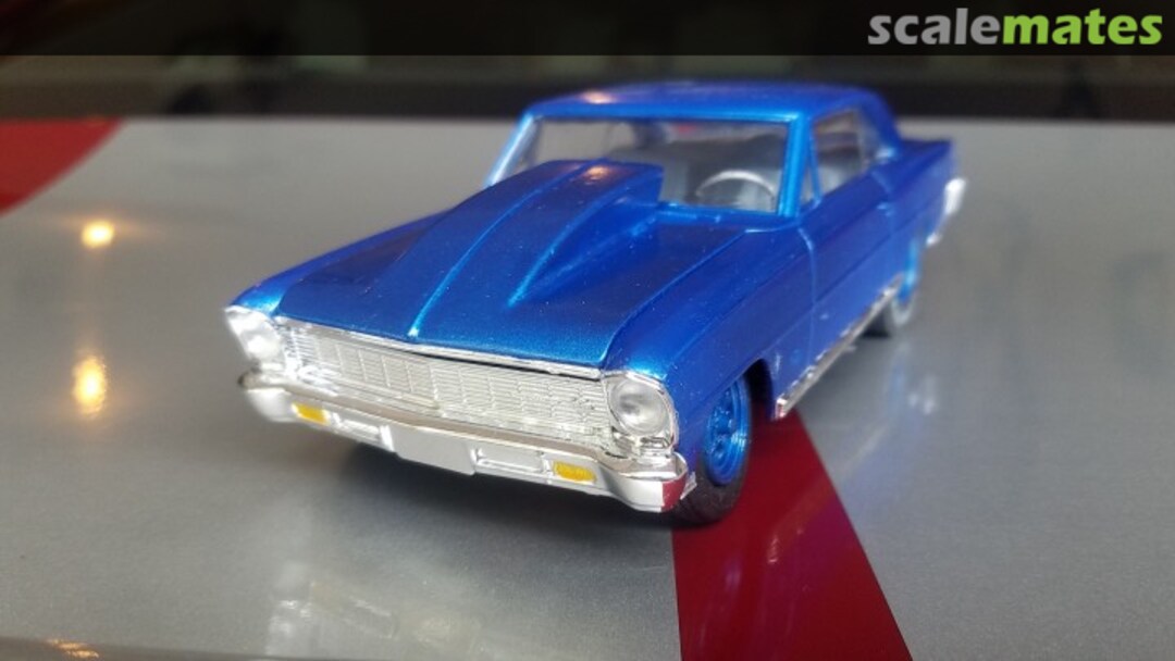 View album, image #1 View album, image #1