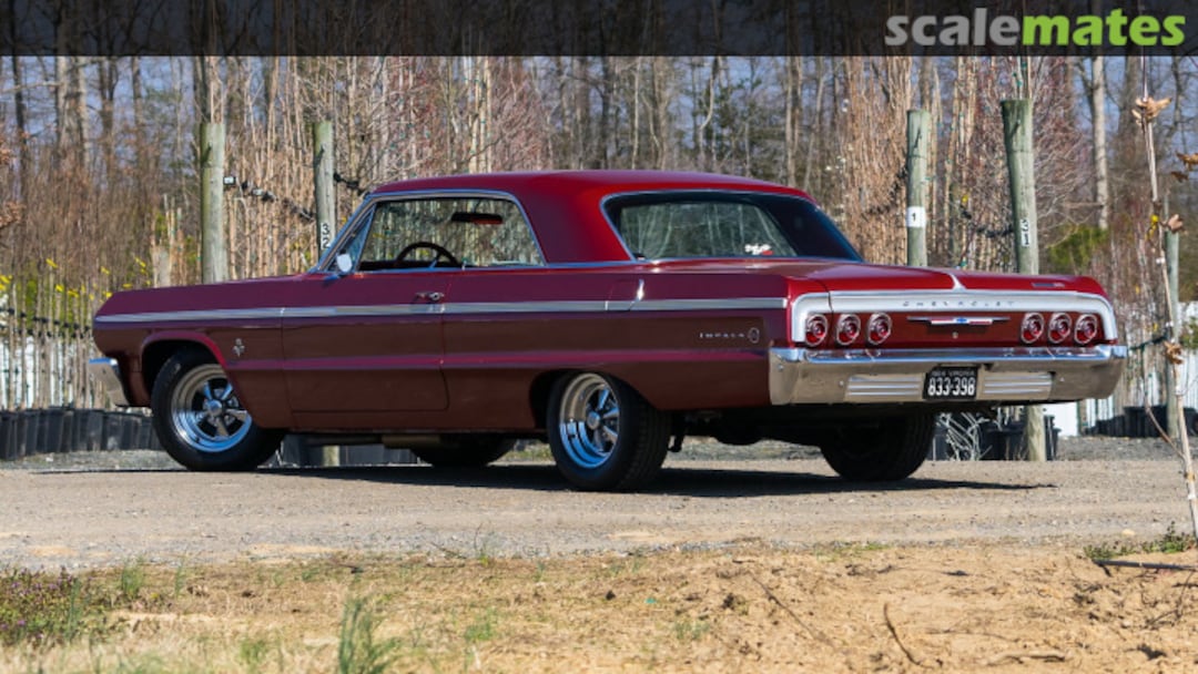 View album, image #1 View album, image #1