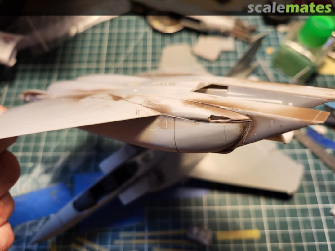 View album, image #5 View album, image #5