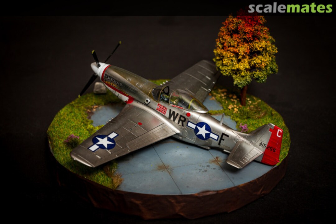 View album, image #1 View album, image #1